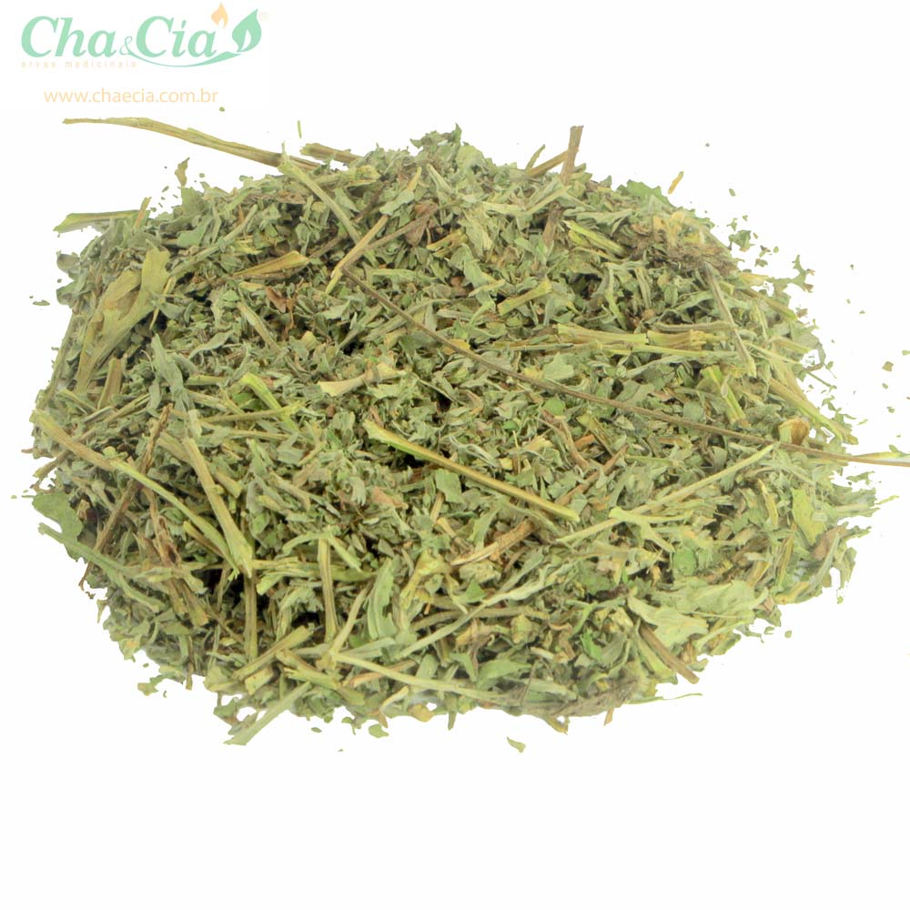 Losna - Artemisia absinthium L. 100g - chaecia